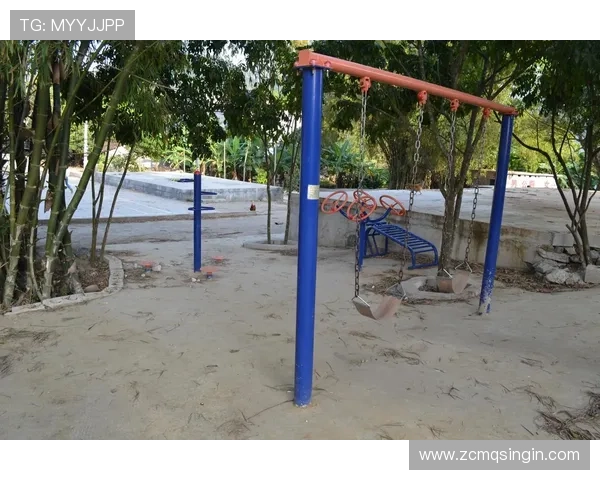 固定型健身器材名称及在室外公共场所的应用场景